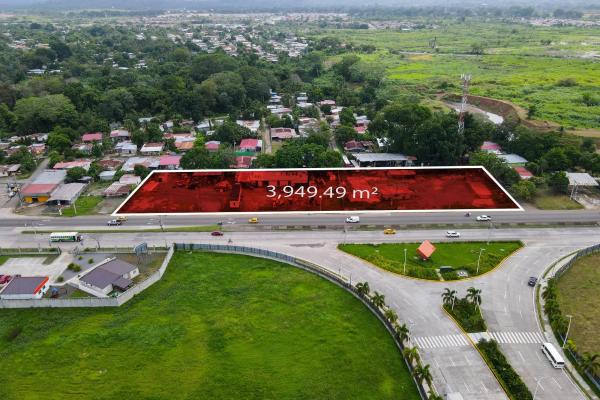 Commercial land for sale in felipillo