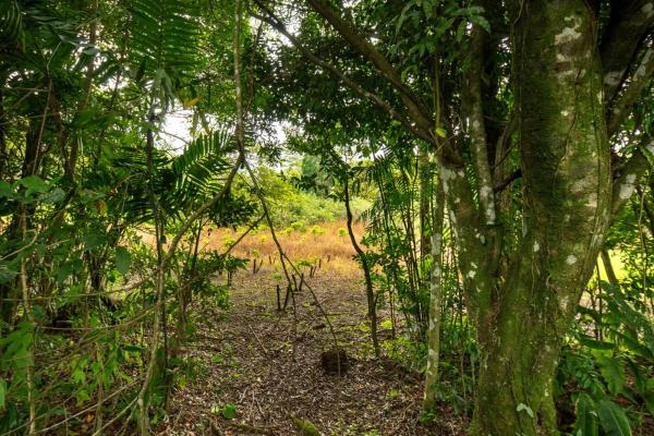 Terreno panorámico en boquete, panamá
