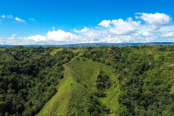 Expansive 146.652 ha property with water sources