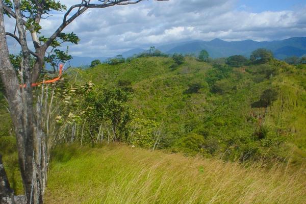67-hectare oceanfront sanctuary in arena, veraguas