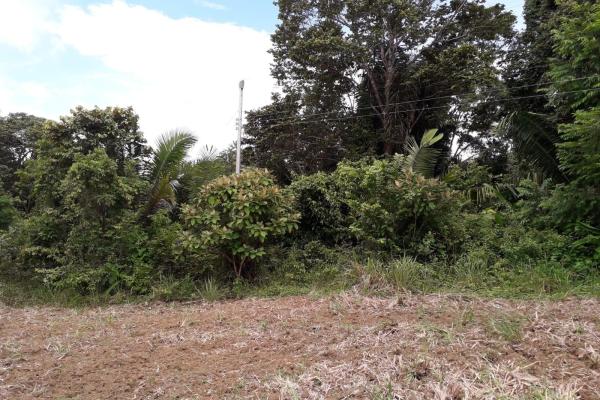 Terreno 69 hectareas en puerto armuelles, limones oportunidad de inversión