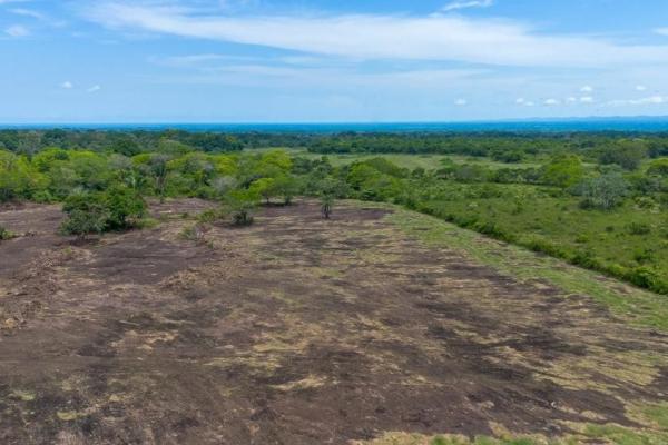 Terreno de 8 hectáreas en venta con acceso a la carretera panamericana.