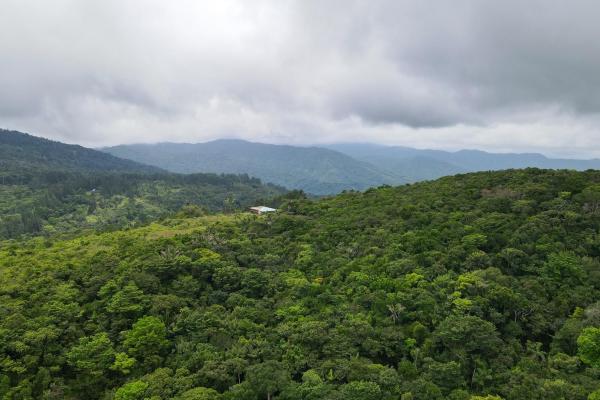 Land for sale in cerro azul