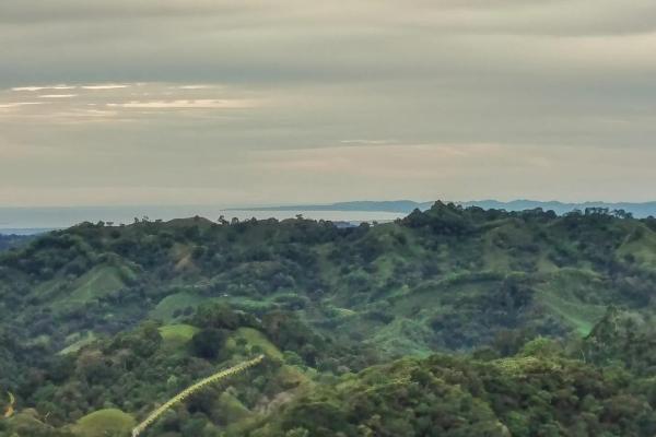 15-hectare self-sufficient property