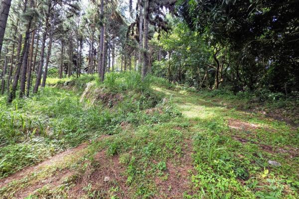Land for sale in sorá chame