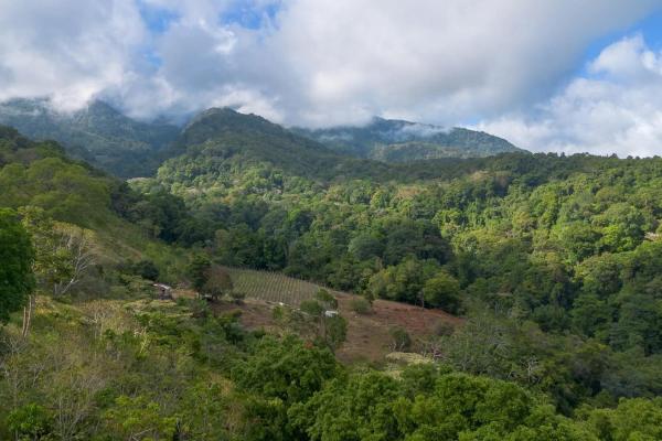 22 hectares with creek and mountain views