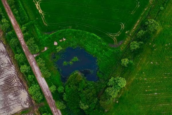 Operating rice farm for sale