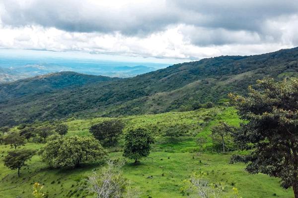 12 hectares land for sale in caldera boquete