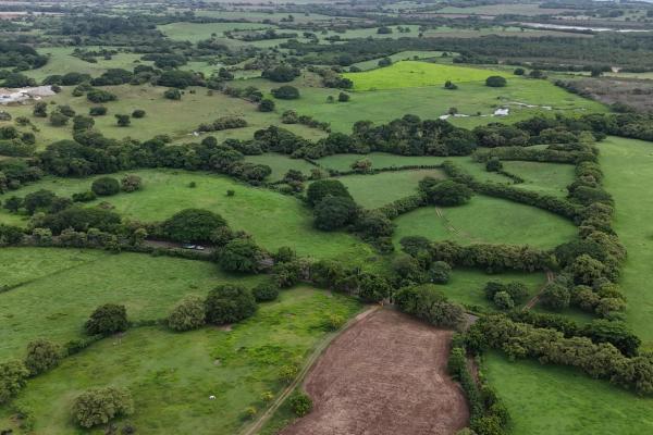 For sale land 9.8 hectares in las tablas
