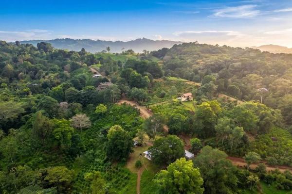 Finca de café en venta en el cascajal, la pintada