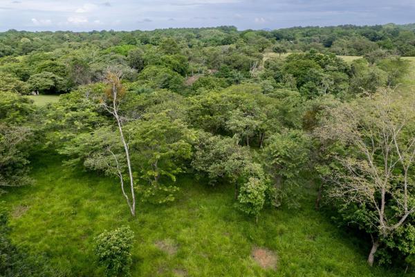 Se vende 2.02 hectareas planas en las lajas chiriqui