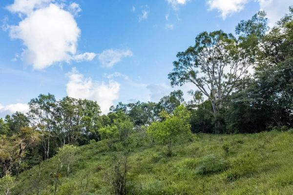 22 hectares with creek and mountain views