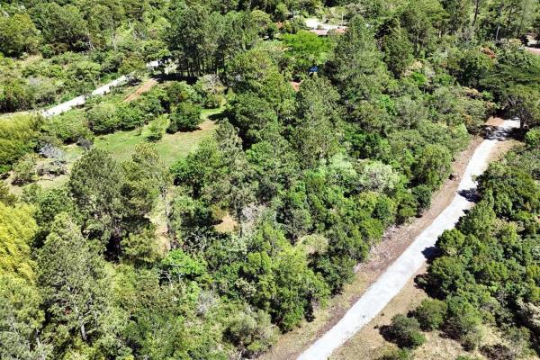 Land for sale in santa lucía, volcancito, boquete