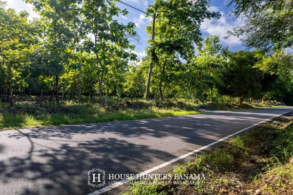 Terreno urbanizable de 11 hectáreas en venta - bagalá, panamá
