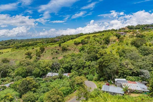 Flat coffee land with mountain views in palmira