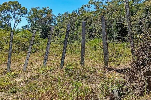 22 hectares with creek and mountain views