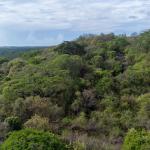 Terreno de 6 hectáreas en venta en las tablas