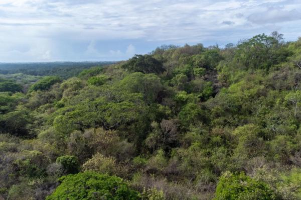 Terreno de 6 hectáreas en venta en las tablas