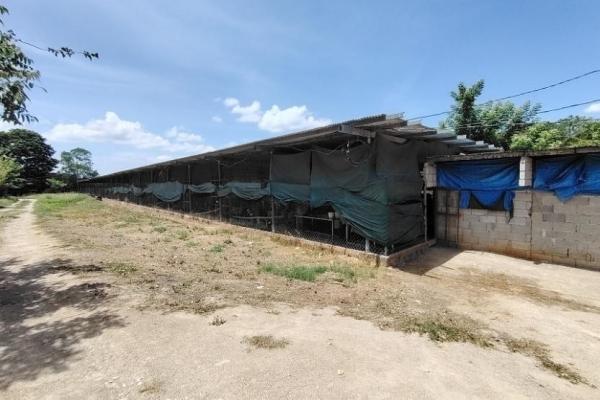 Granja de 13.6 ha con casa, galeras y río en natá, coclé