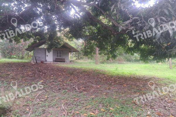 Venta de terreno en juan hombron con edificación