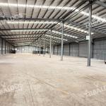 Sale of warehouse in tocumen commercial park