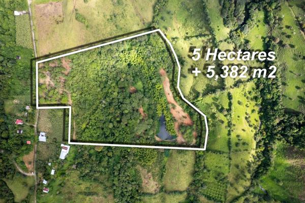 Spring-fed lake & 10 hectares for sale in rovira d