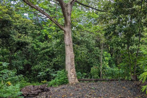 Architect-designed eco home for sale in torio