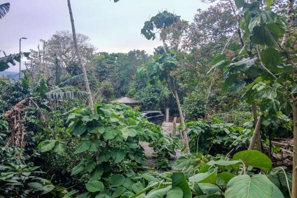 Cabaña con vistas al volcán barú en venta en jaramillo