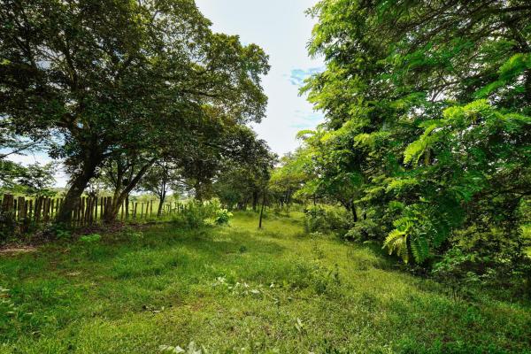 Agricultural land near david panama