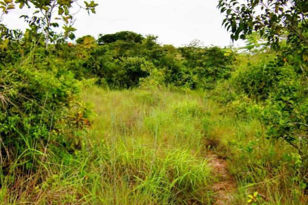 Ocean-view riverfront land-40.66 ha in san carlos