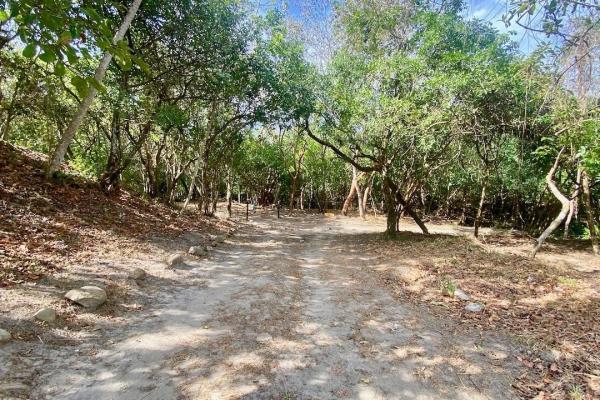 Finca de 4.3 hectareas – proyecto ideal comunidad