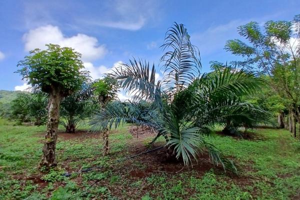 Finca bien concebida en una zona tranquila