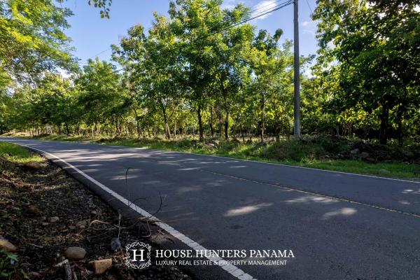 Terreno urbanizable de 11 hectáreas en venta - bagalá, panamá