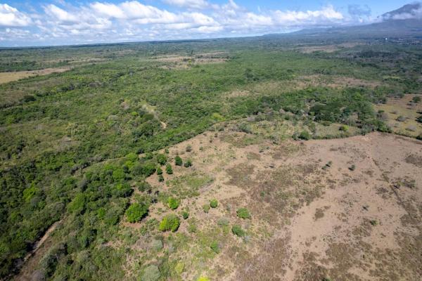 15 hectares fertile land potrerillos, chiriqui