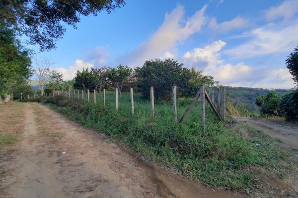 Finca productiva de 20.55 hectáreas con agua viva y excelente ubicación