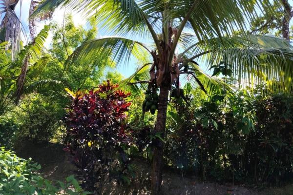Casa en venta altos del maría